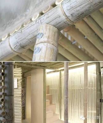 竹構(gòu)新思 香港蝸居困境下的可持續(xù)建筑探索